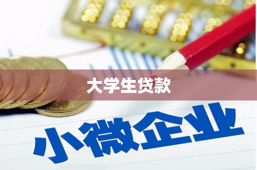 崖州大学生贷款