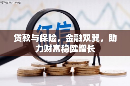 崖州贷款与保险，金融双翼，助力财富稳健增长