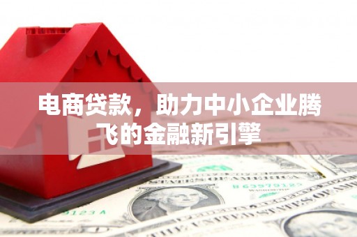崖州电商贷款，助力中小企业腾飞的金融新引擎