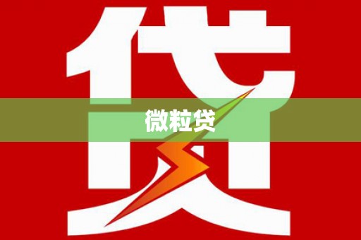 崖州微粒贷