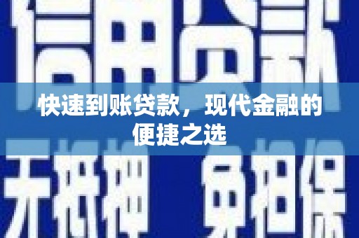 崖州快速到账贷款，现代金融的便捷之选