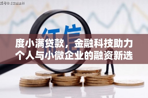 崖州度小满贷款，金融科技助力个人与小微企业的融资新选择
