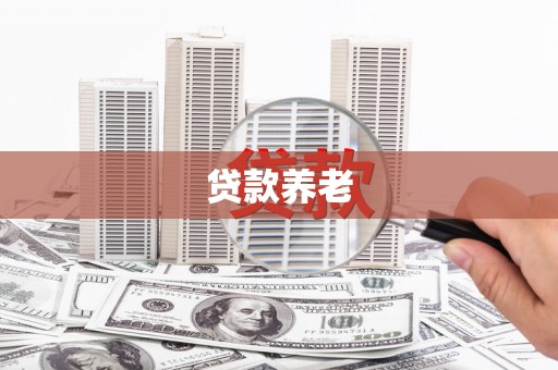 崖州贷款养老
