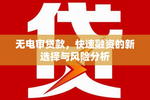 崖州无电审贷款，快速融资的新选择与风险分析