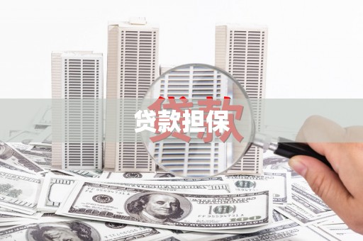 崖州贷款担保