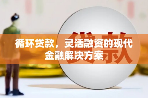 崖州循环贷款，灵活融资的现代金融解决方案