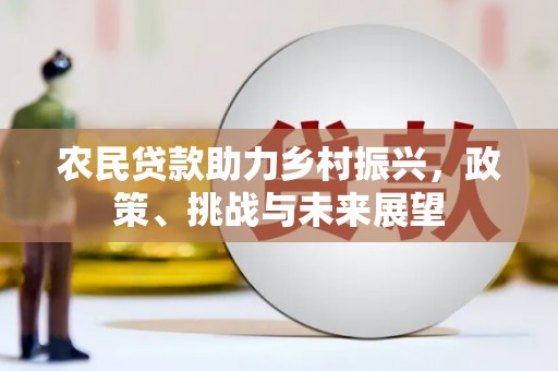 崖州农民贷款助力乡村振兴，政策、挑战与未来展望