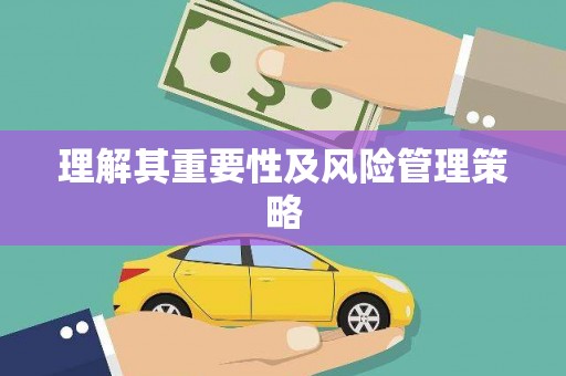 崖州理解其重要性及风险管理策略