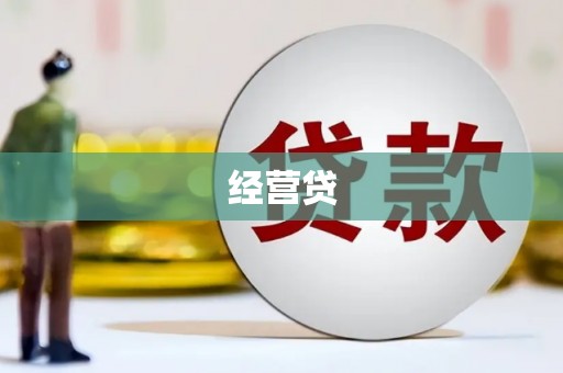 崖州经营贷
