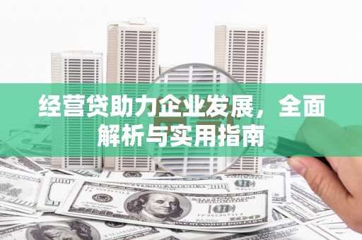 崖州经营贷助力企业发展，全面解析与实用指南