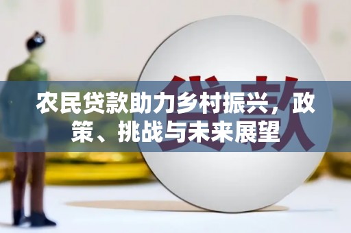 崖州农民贷款助力乡村振兴，政策、挑战与未来展望