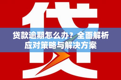 崖州贷款逾期怎么办？全面解析应对策略与解决方案