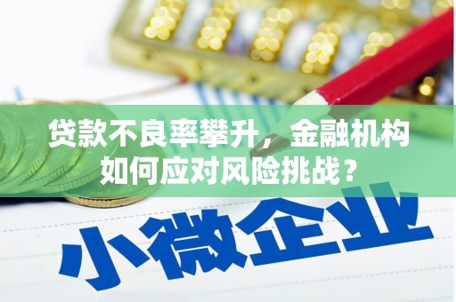 崖州贷款不良率攀升，金融机构如何应对风险挑战？