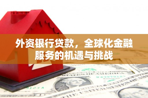 崖州外资银行贷款，全球化金融服务的机遇与挑战