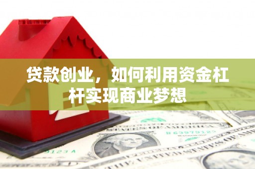 崖州贷款创业，如何利用资金杠杆实现商业梦想