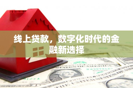 崖州线上贷款，数字化时代的金融新选择
