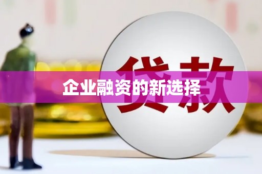 崖州企业融资的新选择