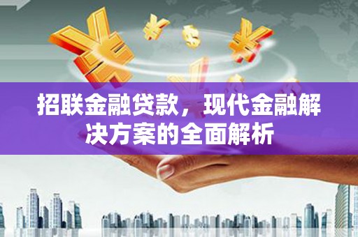 崖州招联金融贷款，现代金融解决方案的全面解析