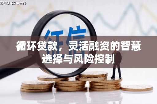 崖州循环贷款，灵活融资的智慧选择与风险控制