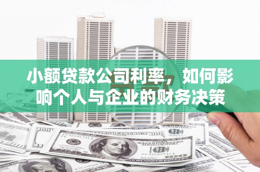 崖州小额贷款公司利率，如何影响个人与企业的财务决策
