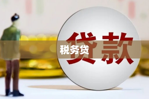 崖州税务贷