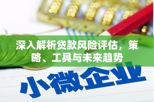 崖州深入解析贷款风险评估，策略、工具与未来趋势