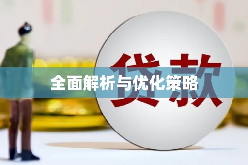 崖州全面解析与优化策略