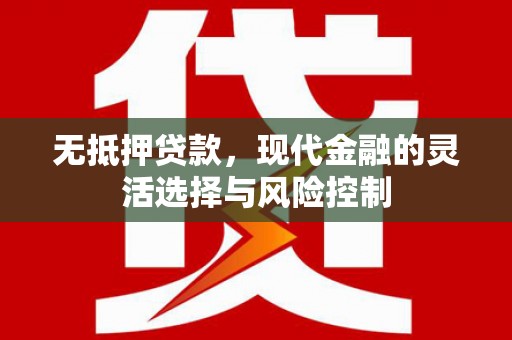 崖州无抵押贷款，现代金融的灵活选择与风险控制
