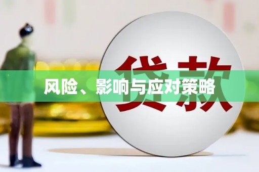 崖州风险、影响与应对策略