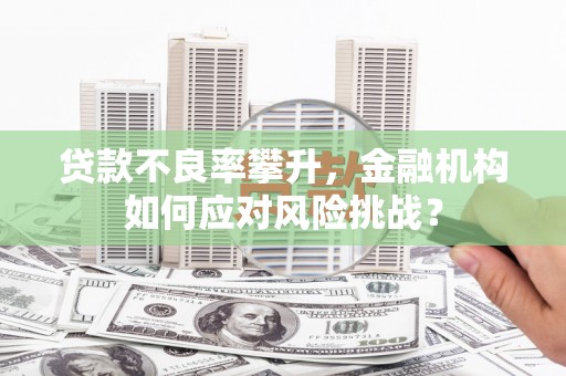 崖州贷款不良率攀升，金融机构如何应对风险挑战？