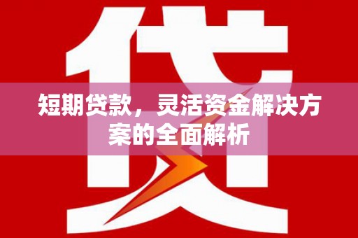 崖州短期贷款，灵活资金解决方案的全面解析