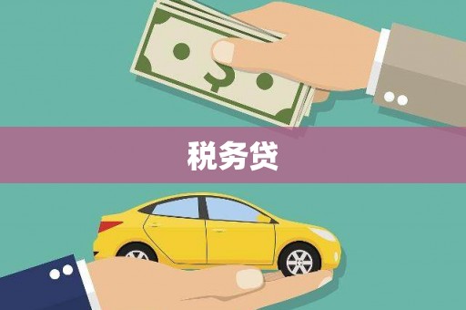 崖州税务贷
