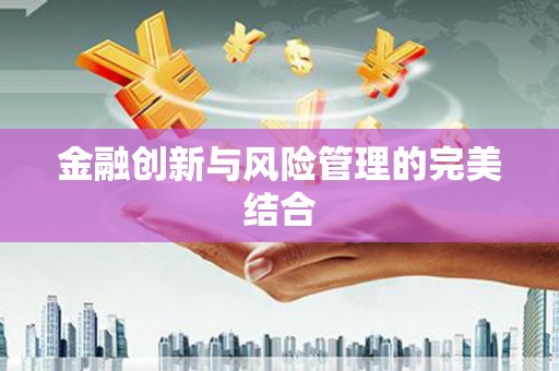 崖州金融创新与风险管理的完美结合
