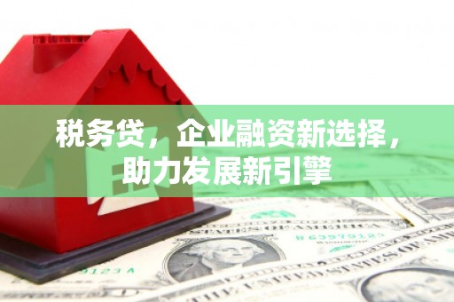崖州税务贷，企业融资新选择，助力发展新引擎