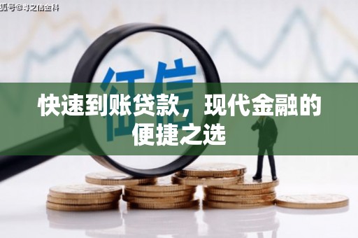 崖州快速到账贷款，现代金融的便捷之选