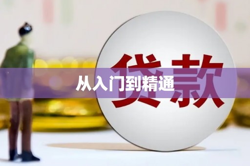 崖州从入门到精通