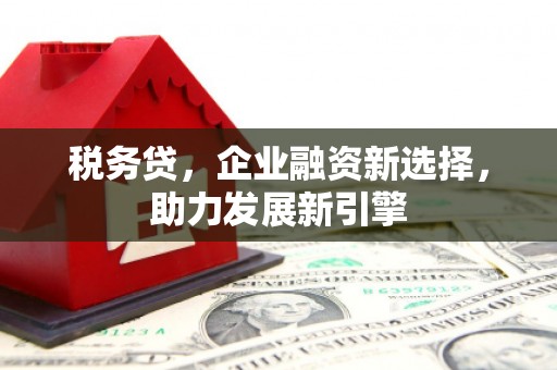 崖州税务贷，企业融资新选择，助力发展新引擎