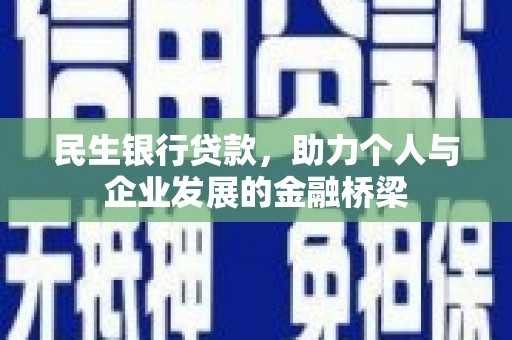 崖州民生银行贷款，助力个人与企业发展的金融桥梁