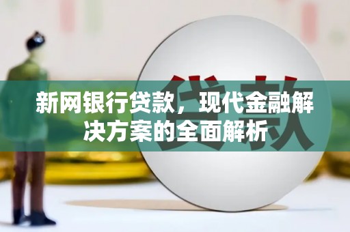 崖州新网银行贷款，现代金融解决方案的全面解析
