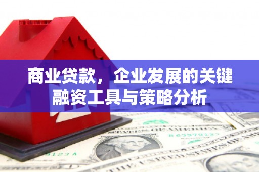 崖州商业贷款，企业发展的关键融资工具与策略分析