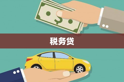 崖州税务贷