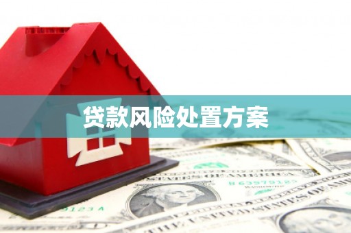 崖州贷款风险处置方案