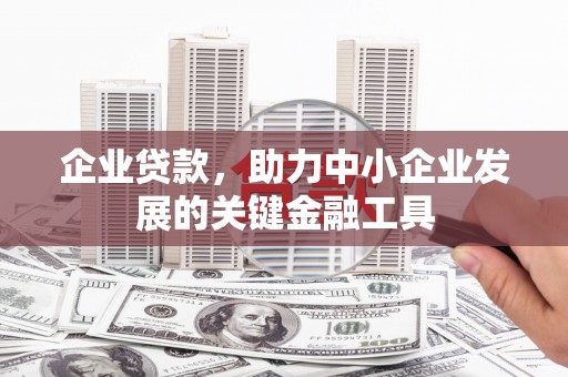 崖州企业贷款，助力中小企业发展的关键金融工具