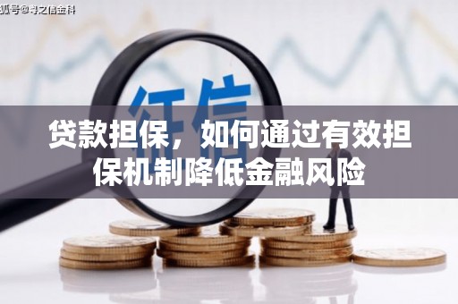 崖州贷款担保，如何通过有效担保机制降低金融风险