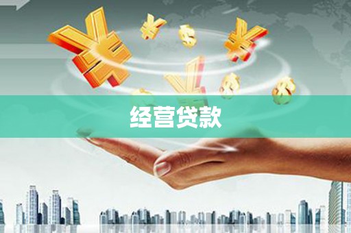 崖州经营贷款