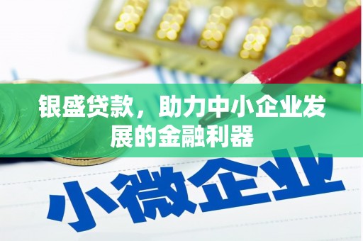 崖州银盛贷款，助力中小企业发展的金融利器