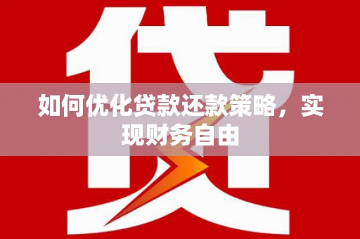 崖州如何优化贷款还款策略，实现财务自由