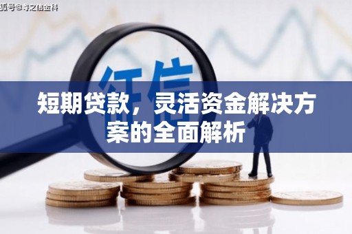 崖州短期贷款，灵活资金解决方案的全面解析