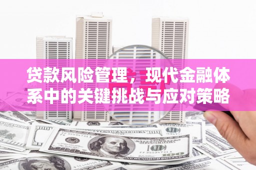 崖州贷款风险管理，现代金融体系中的关键挑战与应对策略