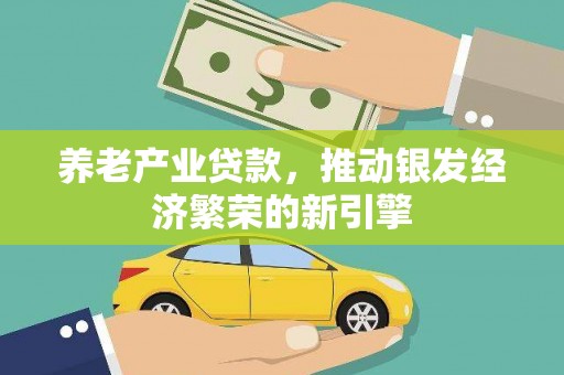 崖州养老产业贷款，推动银发经济繁荣的新引擎